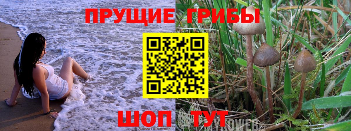 Псилоцибиновые грибы прущие грибы  Галлюциногенные грибы GOLDEN TEACHER  Железноводск  Вход с VPN 