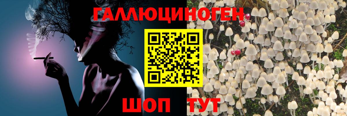 Псилоцибиновые грибы прущие грибы Железноводск